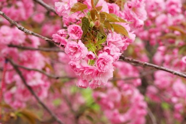 温州乐清线下个人借款平台一站式服务，轻松解决资金难题