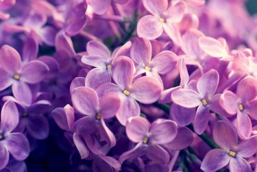 温州乐清企业急用钱贷款攻略：快速融资解燃眉之急